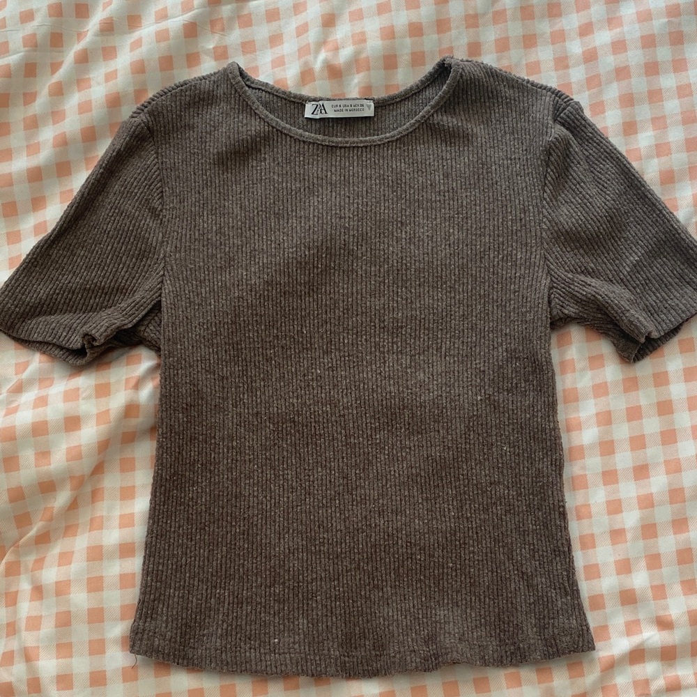 Zara Brown Ribbed Crop Top
